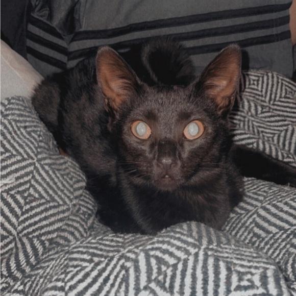 Meet the Posher Other - Meet your Posher, Kate